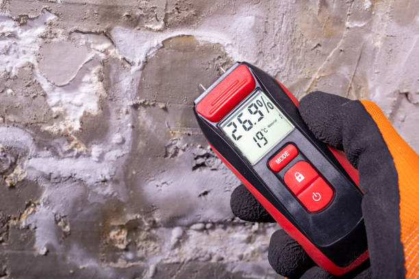 Best Health and Safety Mold Remediation in Liberty City, TX