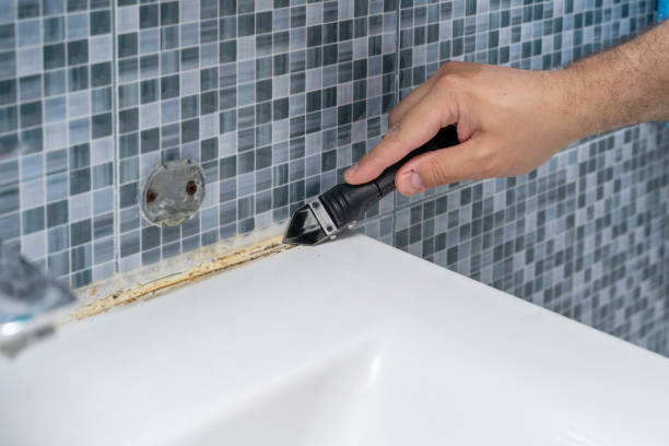 Best Black Mold Remediation in Liberty City, TX