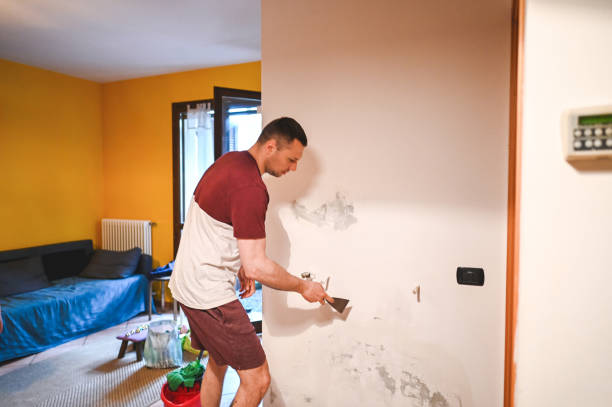Best Mold Remediation for Specific Building Types in Liberty City, TX